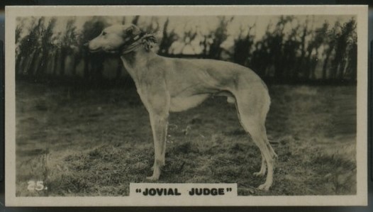 25 Jovial Judge